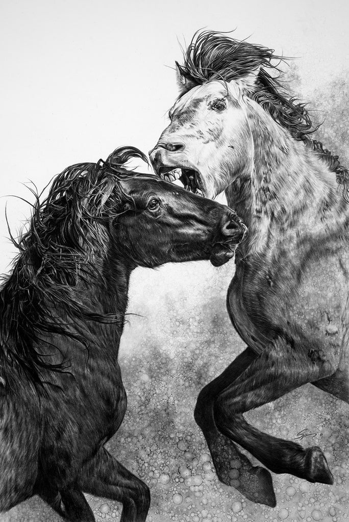 black and white horses fighting